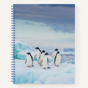 Ice & Snow   Adelie Penguins Antarctica Notebook