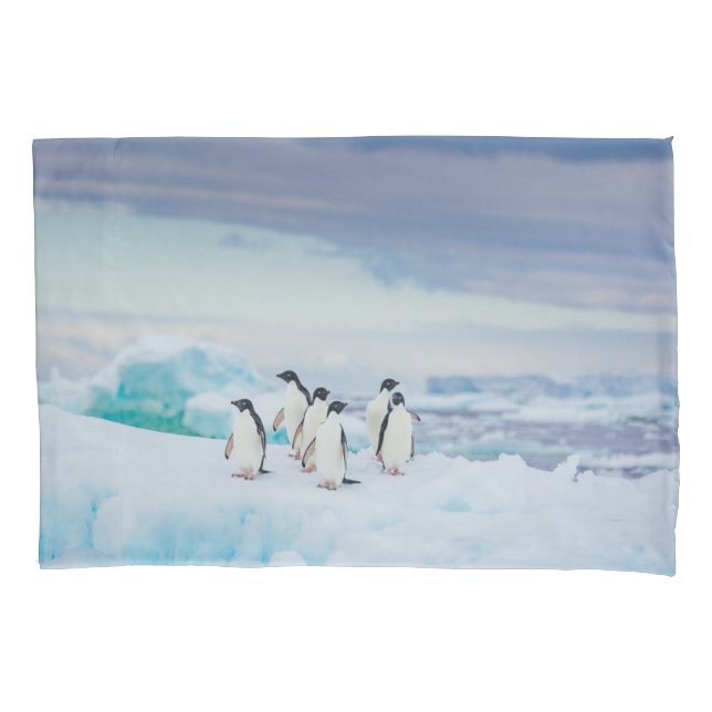 Ice & Snow | Adelie Penguins Antarctica Pillowcase (Front)