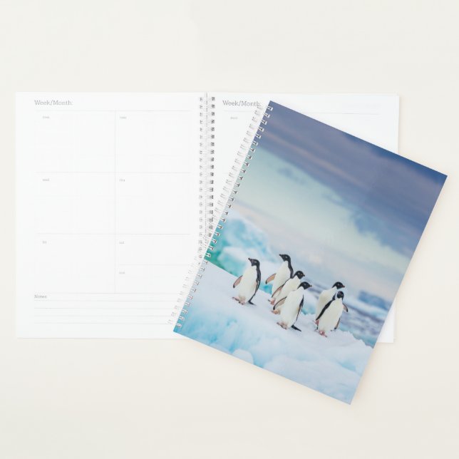 Ice & Snow | Adelie Penguins Antarctica Planner (Display)