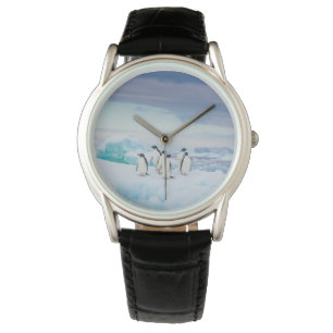 Ice & Snow   Adelie Penguins Antarctica Watch