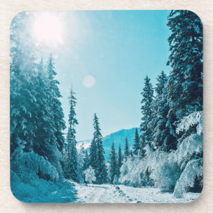 Ice & Snow Altai Nature Reserve, Russia Coaster