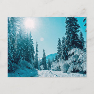 Ice & Snow Altai Nature Reserve, Russia Postcard