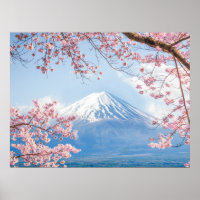 Ice & Snow | Cherry Blossoms Mt. Fuji Japan