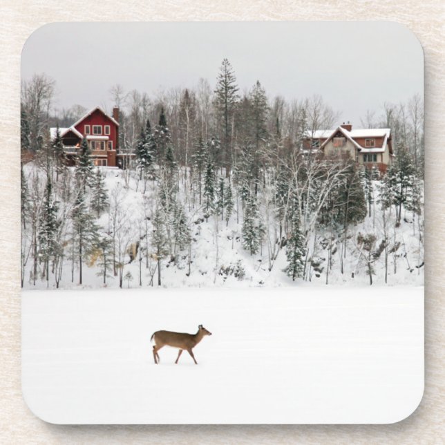 Ice & Snow | Deer in Snow Quebec, Canada Coaster (Front)