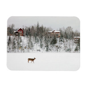 Ice & Snow Deer in Snow Quebec, Canada Magnet