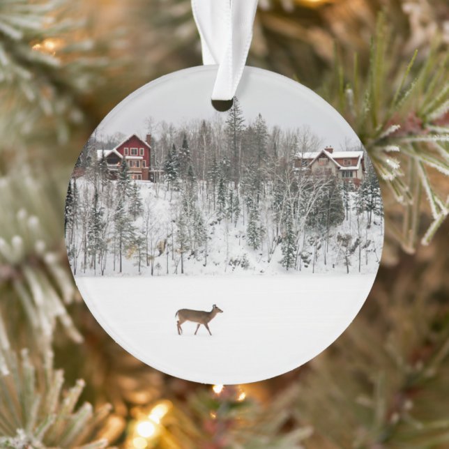Ice & Snow | Deer in Snow Quebec, Canada Ornament (Tree)