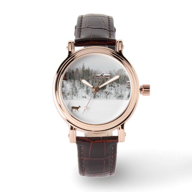 Ice & Snow | Deer in Snow Quebec, Canada Watch (Front)
