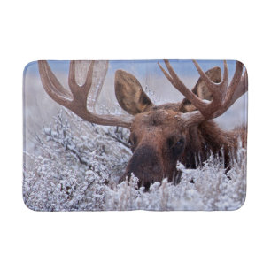 Ice & Snow Grand Teton National Park, Wyoming Bath Mat