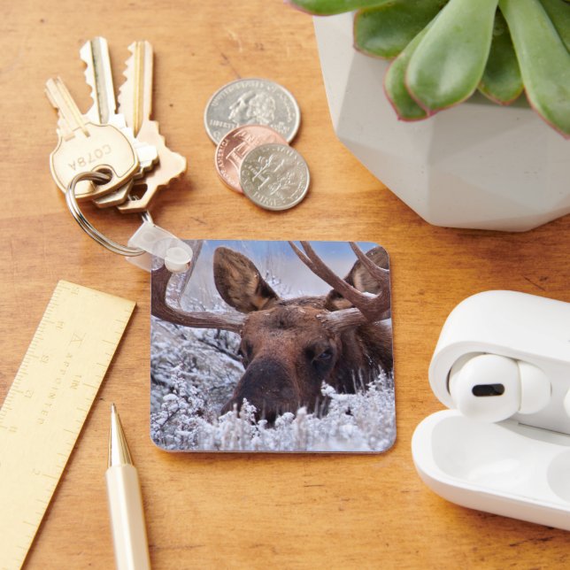 Ice & Snow | Grand Teton National Park, Wyoming Key Ring (Desk)