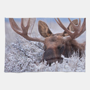 Ice & Snow   Grand Teton National Park, Wyoming Tea Towel