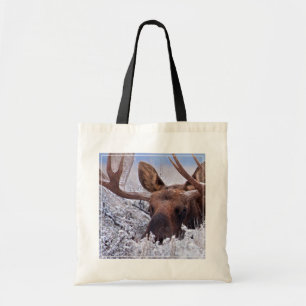 Ice & Snow   Grand Teton National Park, Wyoming Tote Bag