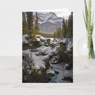 Ice & Snow   Jasper National Park Alberta, Canada Card