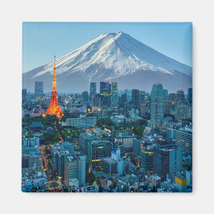 Ice & Snow   Mt. Fuji & Tokyo Skyline Magnet