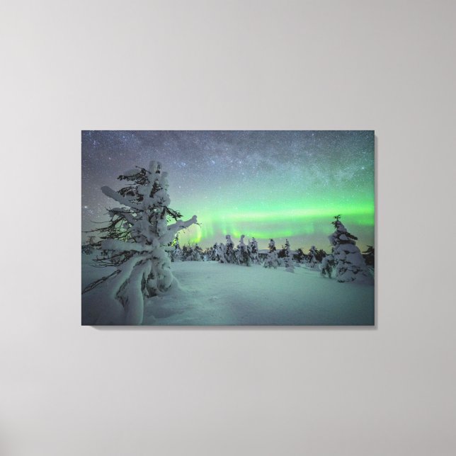 Ice & Snow | Pallas-Yllastunturi National Park Canvas Print (Front)