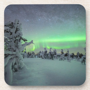 Ice & Snow Pallas-Yllastunturi National Park Coaster