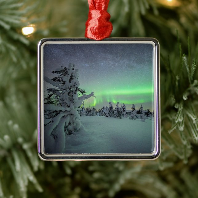 Ice & Snow | Pallas-Yllastunturi National Park Metal Tree Decoration (Tree)