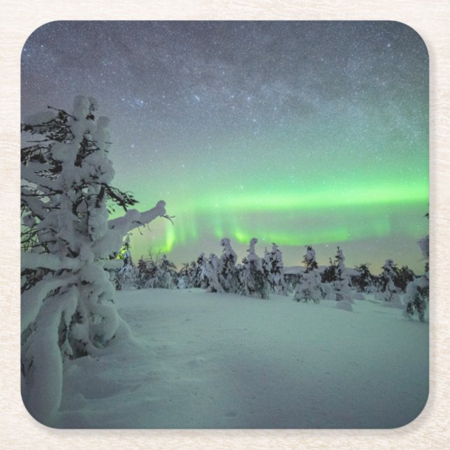 Ice & Snow | Pallas-Yllastunturi National Park Square Paper Coaster (Front)