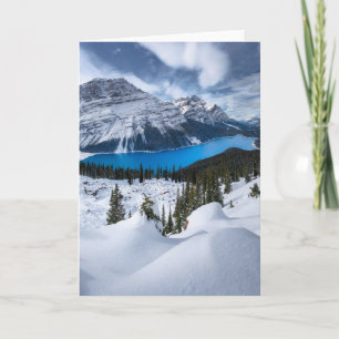 Ice & Snow   Peyto Lake, Canadian Rockies Card