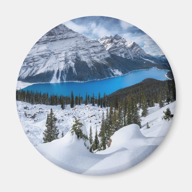 Ice & Snow | Peyto Lake, Canadian Rockies Magnet (Front)