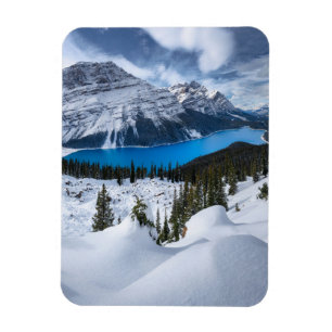 Ice & Snow Peyto Lake, Canadian Rockies Magnet