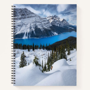 Ice & Snow   Peyto Lake, Canadian Rockies Notebook