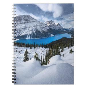 Ice & Snow   Peyto Lake, Canadian Rockies Notebook