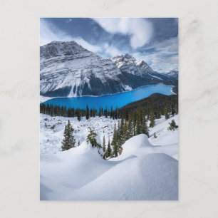 Ice & Snow   Peyto Lake, Canadian Rockies Postcard