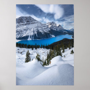 Ice & Snow   Peyto Lake, Canadian Rockies Poster