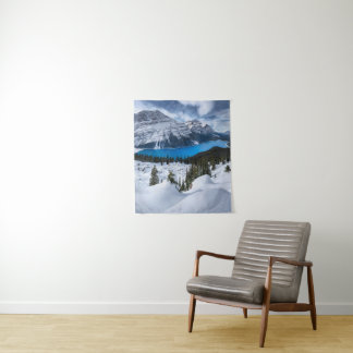 Ice & Snow | Peyto Lake, Canadian Rockies Tapestry