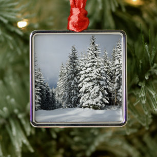 Ice & Snow   Pine Woodland, Austria Metal Tree Decoration