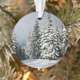 Ice & Snow   Pine Woodland, Austria Ornament