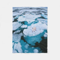Ice & Snow | Polar Bear, Arctic Ocean, Svalbard