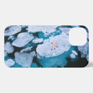 Ice & Snow   Polar Bear, Arctic Ocean, Svalbard iPhone 13 Case