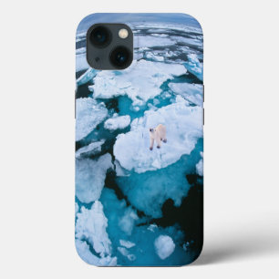 Ice & Snow Polar Bear, Arctic Ocean, Svalbard iPhone 13 Case