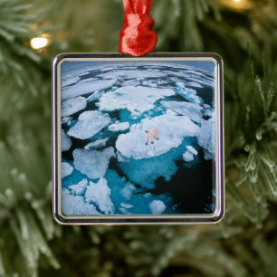 Ice & Snow Polar Bear, Arctic Ocean, Svalbard Metal Tree Decoration