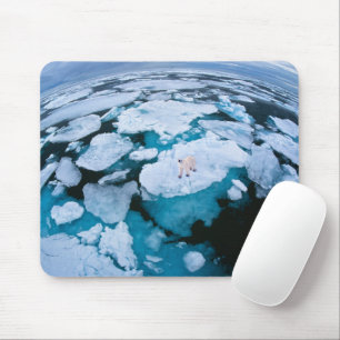 Ice & Snow   Polar Bear, Arctic Ocean, Svalbard Mouse Pad