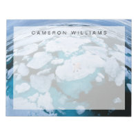 Ice & Snow | Polar Bear, Arctic Ocean, Svalbard