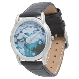 Ice & Snow Polar Bear, Arctic Ocean, Svalbard Watch