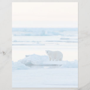 Ice & Snow Polar Bear Iceberg Norway
