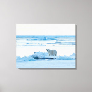 Ice & Snow Polar Bear Iceberg Norway Canvas Print