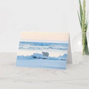 Ice & Snow   Polar Bear Iceberg Norway Card