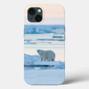 Ice & Snow   Polar Bear Iceberg Norway iPhone 13 Case