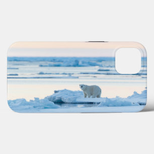 Ice & Snow Polar Bear Iceberg Norway iPhone 13 Case