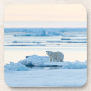 Ice & Snow Polar Bear Iceberg Norway Coaster