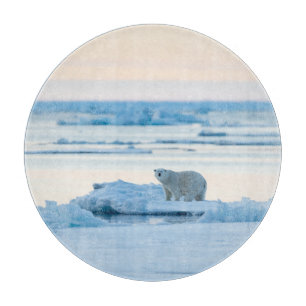 Ice & Snow   Polar Bear Iceberg Norway Cutting Board