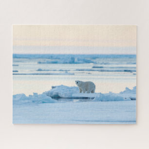 Ice & Snow   Polar Bear Iceberg Norway Jigsaw Puzzle