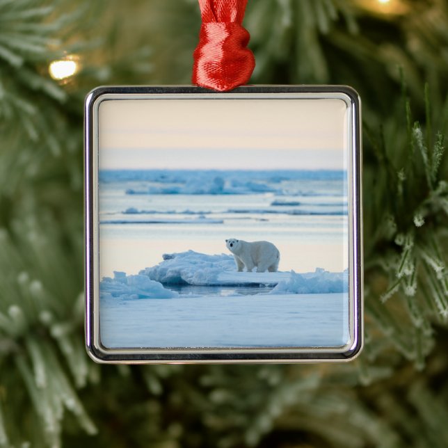 Ice & Snow | Polar Bear Iceberg Norway Metal Tree Decoration (Tree)