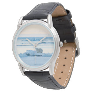 Ice & Snow Polar Bear Iceberg Norway Watch