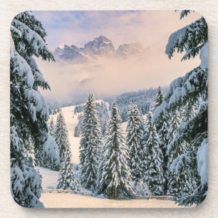 Ice & Snow Rosengarten, Germany Coaster