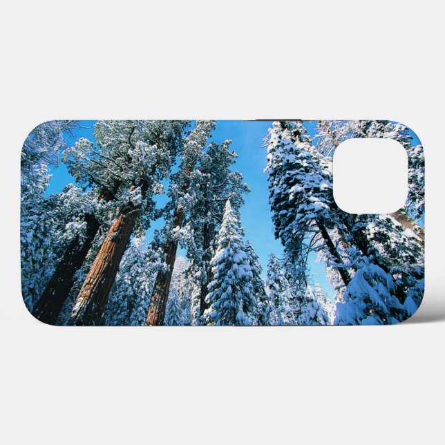 Ice & Snow | Sequoia National Park, California Case-Mate iPhone Case (Back (Horizontal))